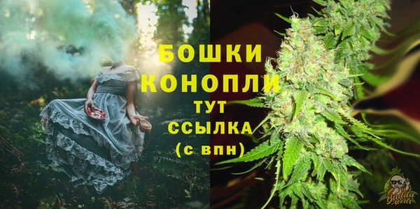 крисы Гусиноозёрск
