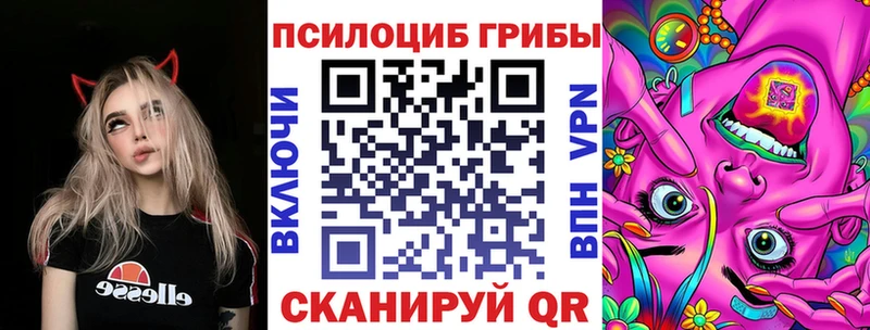 наркотики  Можга  Псилоцибиновые грибы Cubensis 
