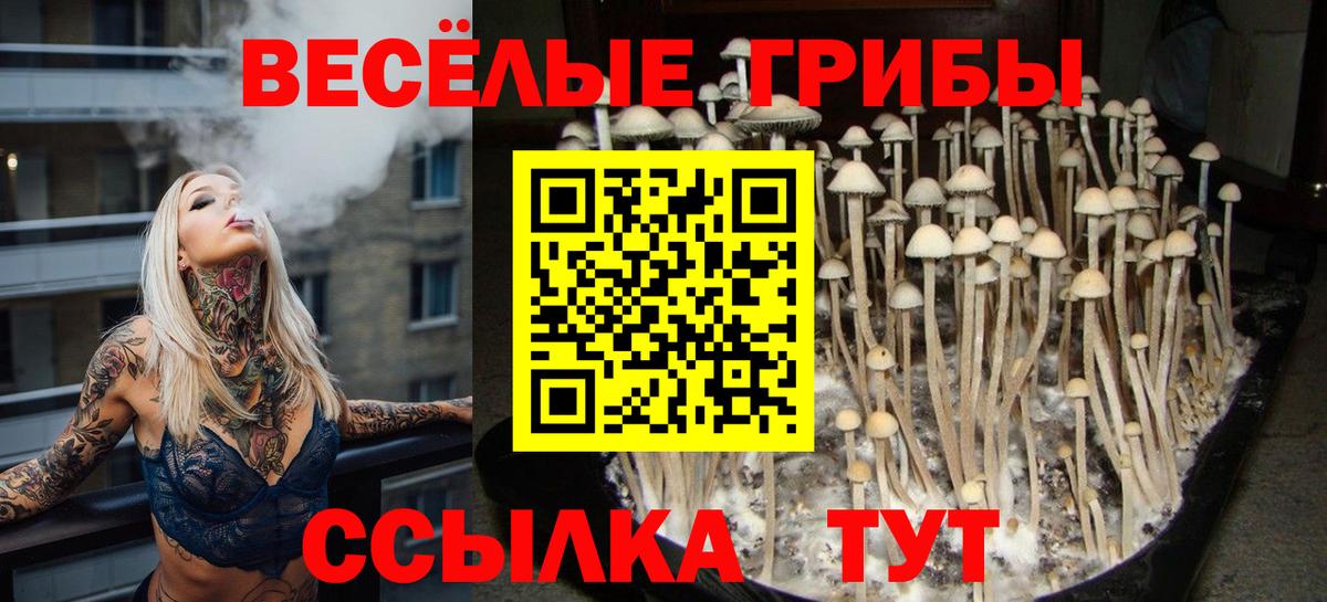 Галлюциногенные грибы Psilocybine cubensis Можга